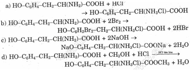 Giải Hóa lớp 12 bài 12: Luyện tập: Cấu tạo và tính chất của amin, amino axit và protein